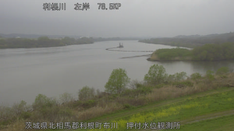 tonos2026040412_image