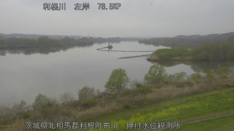 tonos2026040413_image