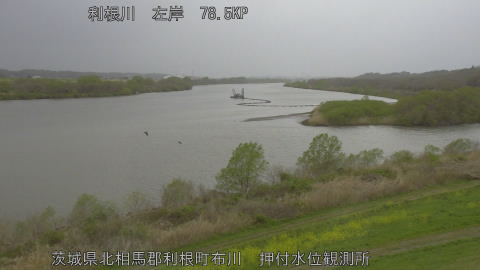 tonos2026040414_image