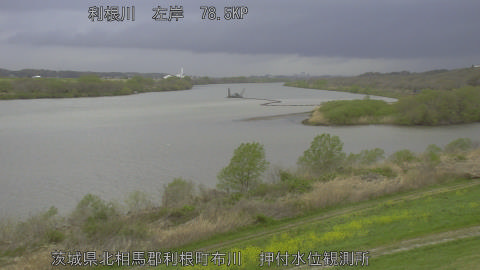 tonos2026040415_image