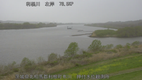 tonos2026040416_image