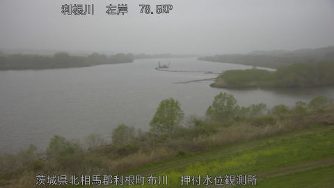 tonos2026040506_image