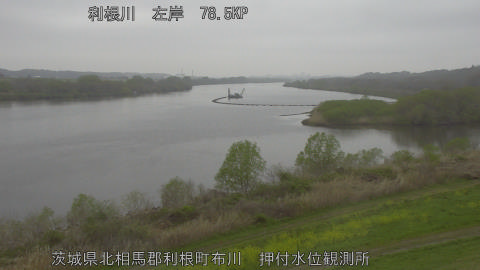 tonos2026040508_image