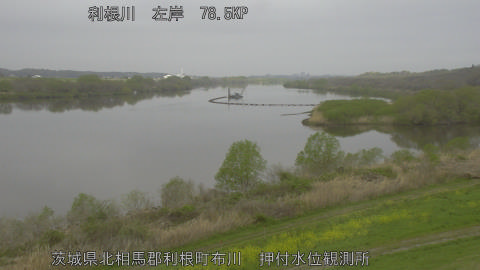 tonos2026040509_image