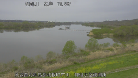 tonos2026040510_image