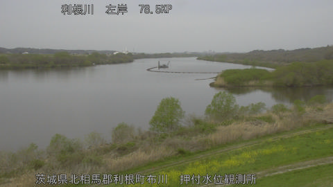 tonos2026040511_image