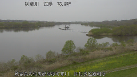 tonos2026040512_image