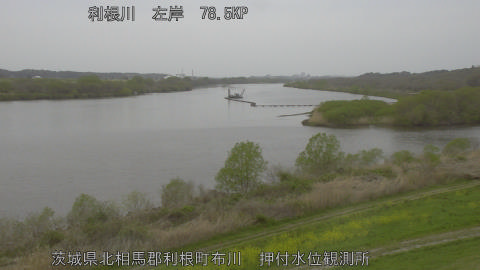 tonos2026040513_image