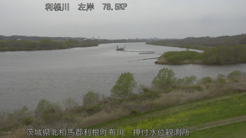 tonos2026040514_image