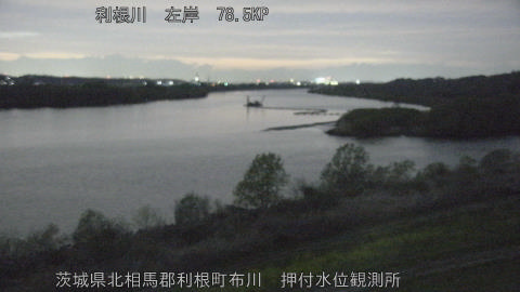 tonos2026040519_image