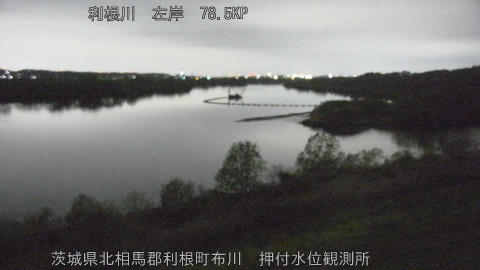 tonos2026040604_image