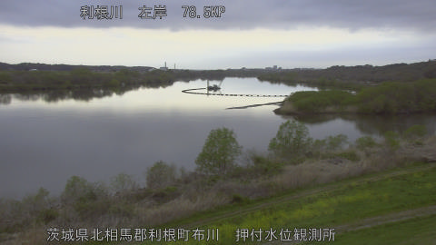 tonos2026040606_image