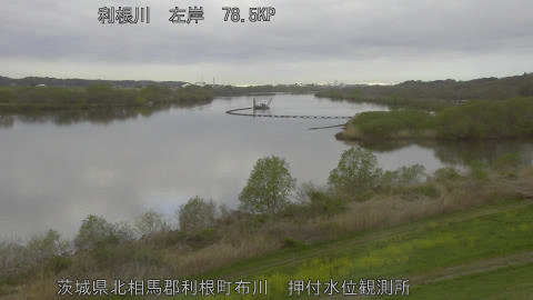 tonos2026040607_image