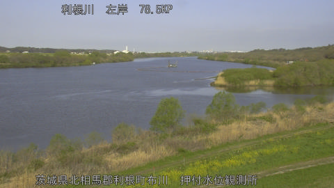 tonos2026040608_image