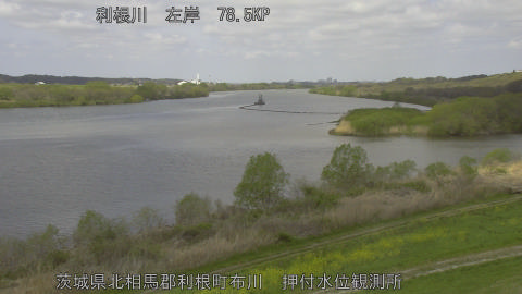 tonos2026040611_image