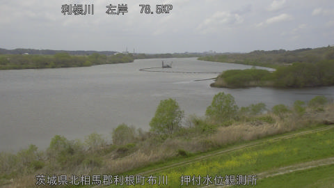 tonos2026040613_image