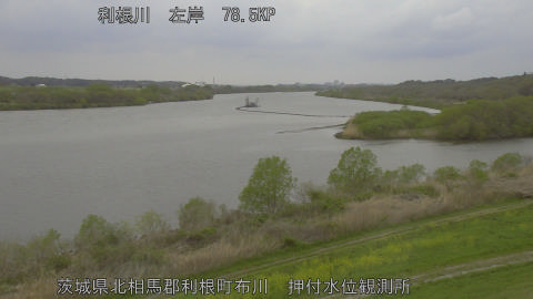 tonos2026040615_image