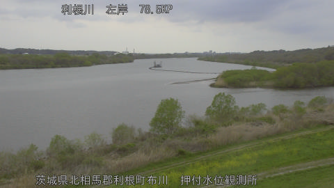 tonos2026040616_image