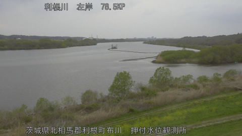 tonos2026040617_image