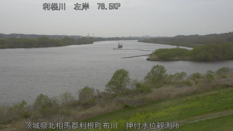 tonos2026040709_image