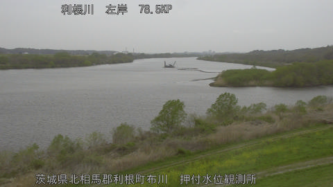 tonos2026040710_image