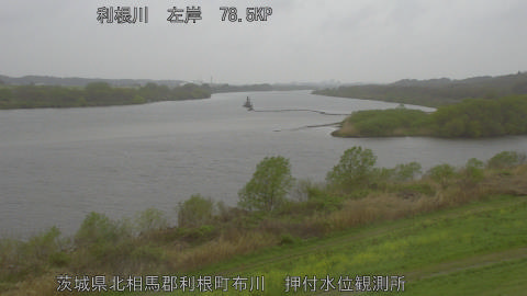 tonos2026040713_image