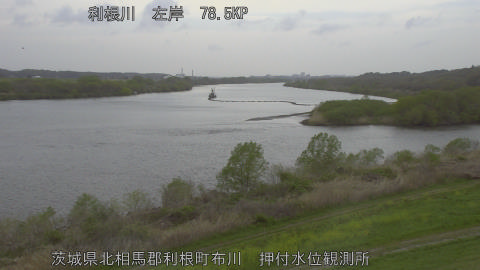 tonos2026040715_image