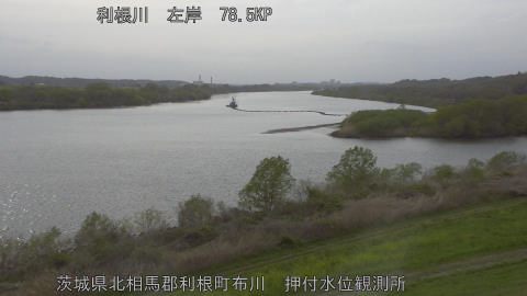 tonos2026040716_image