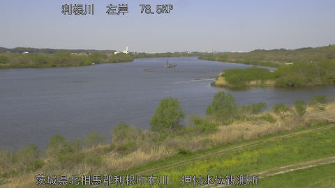 tonos2026040810_image