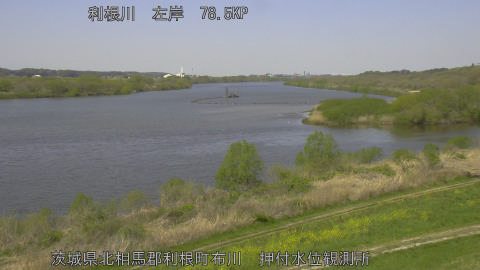 tonos2026040811_image