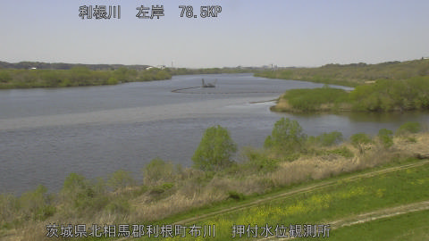 tonos2026040812_image