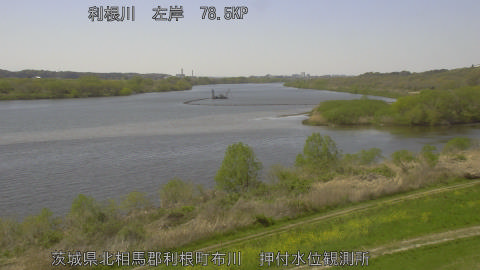 tonos2026040813_image