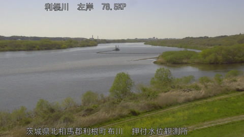 tonos2026040814_image