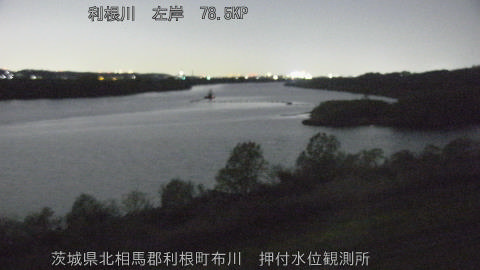 tonos2026040822_image