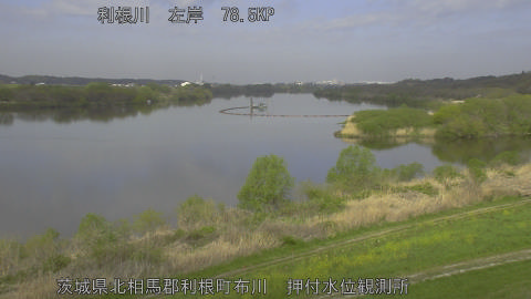 tonos2026040909_image