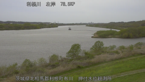 tonos2026040915_image