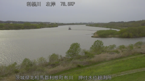 tonos2026040917_image