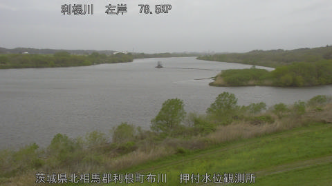 tonos2026041008_image