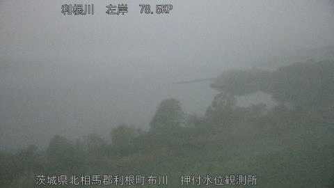 tonos2026041105_image