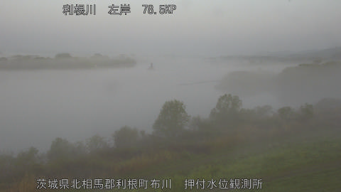 tonos2026041106_image