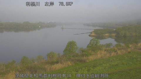 tonos2026041107_image