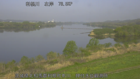 tonos2026041108_image