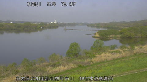 tonos2026041109_image