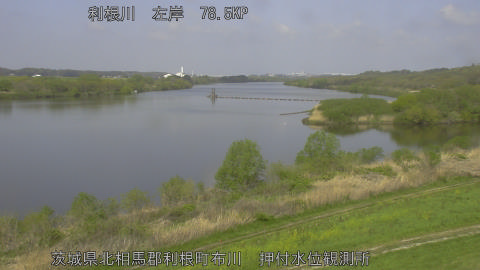 tonos2026041110_image