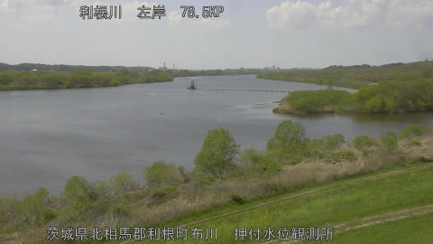 tonos2026041113_image