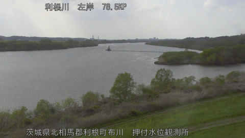 tonos2026041115_image