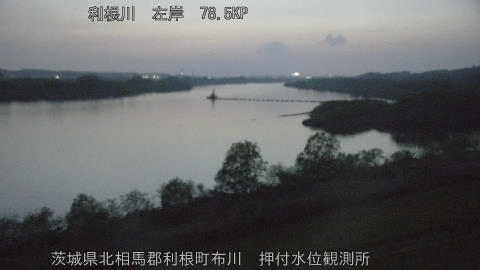 tonos2026041119_image