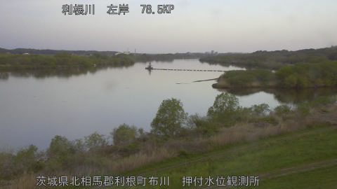 tonos2026041206_image