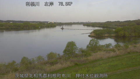 tonos2026041207_image