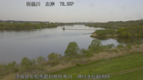 tonos2026041208_image